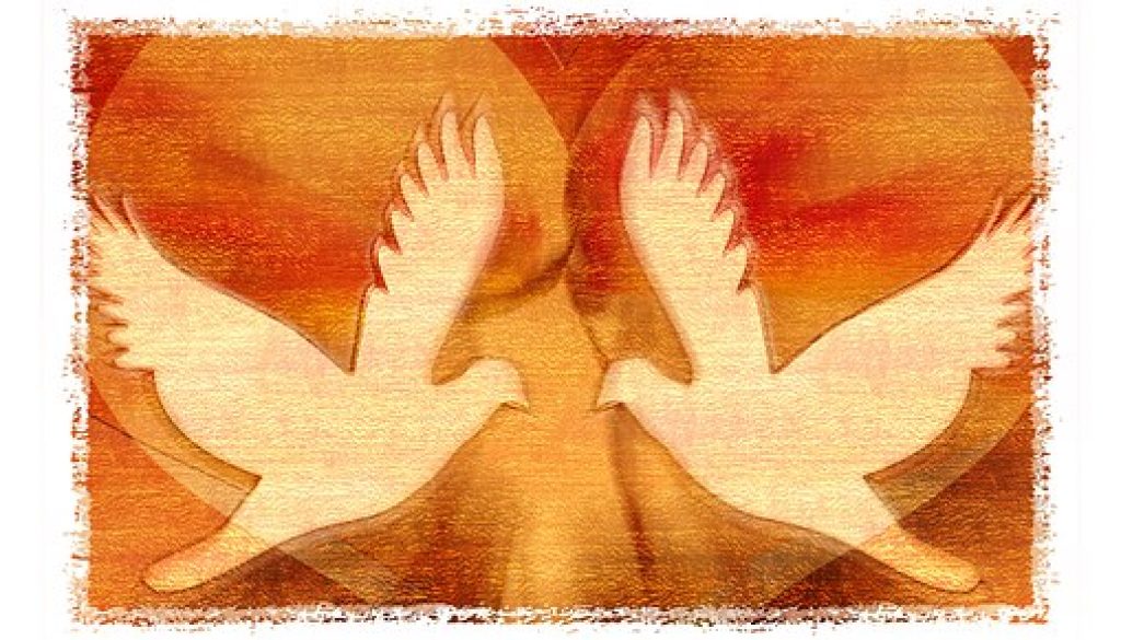 peace-dove peace-dove