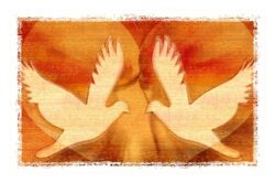 peace-dove