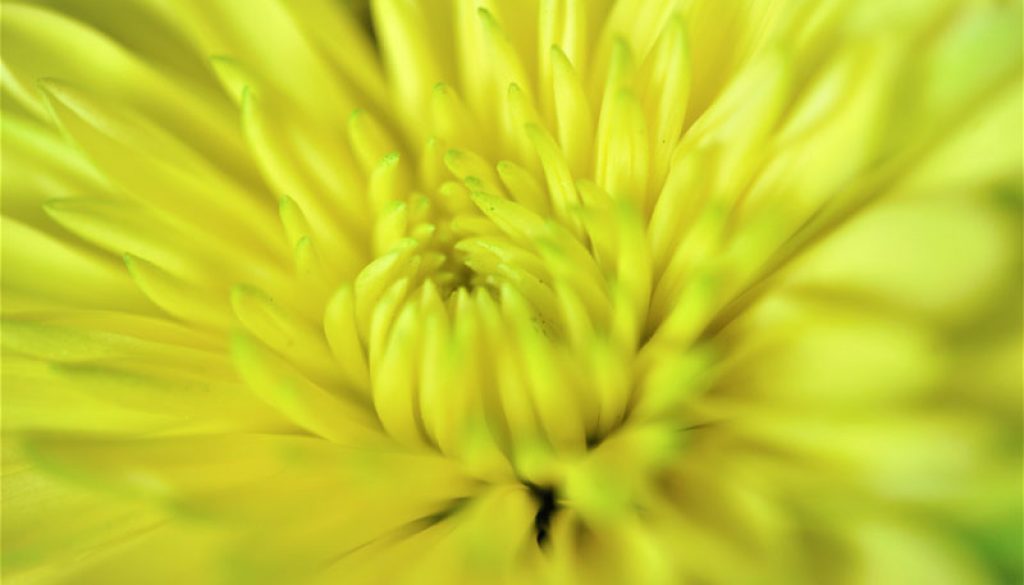 sharon-mccutcheon-601014-unsplash_800 sharon-mccutcheon-601014-unsplash_800